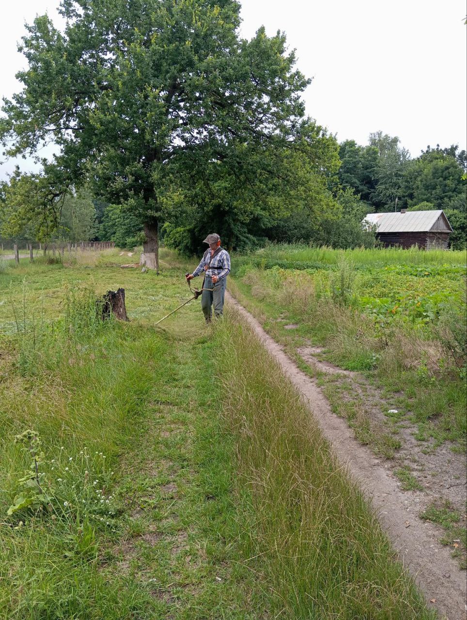 photo 2025 07 24 07 54 21