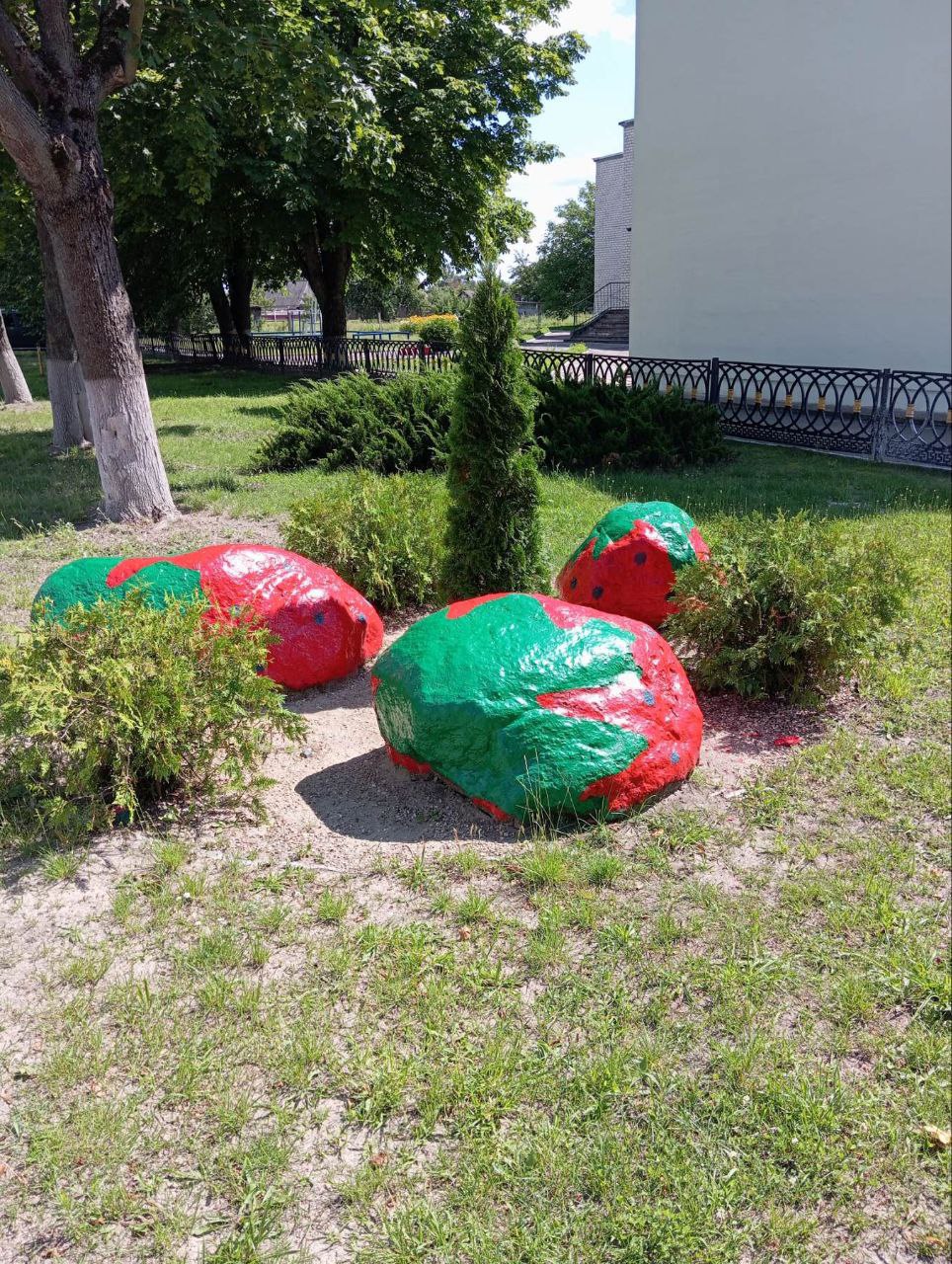 photo 2025 07 24 08 01 43