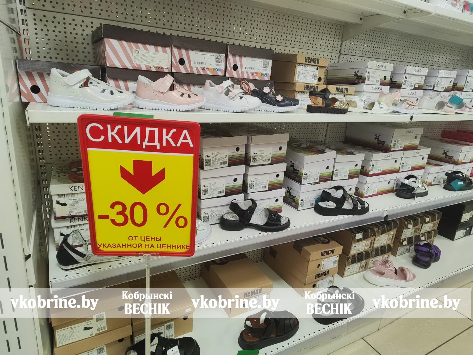 изображение viber 2025 07 31 08 37 38 145 2