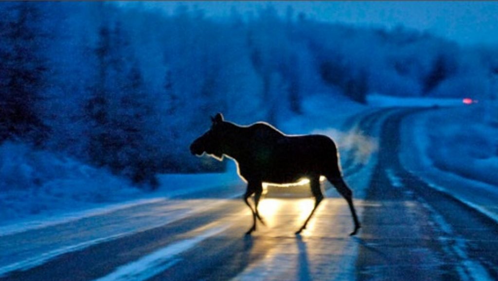 1639999069 los 1024x579