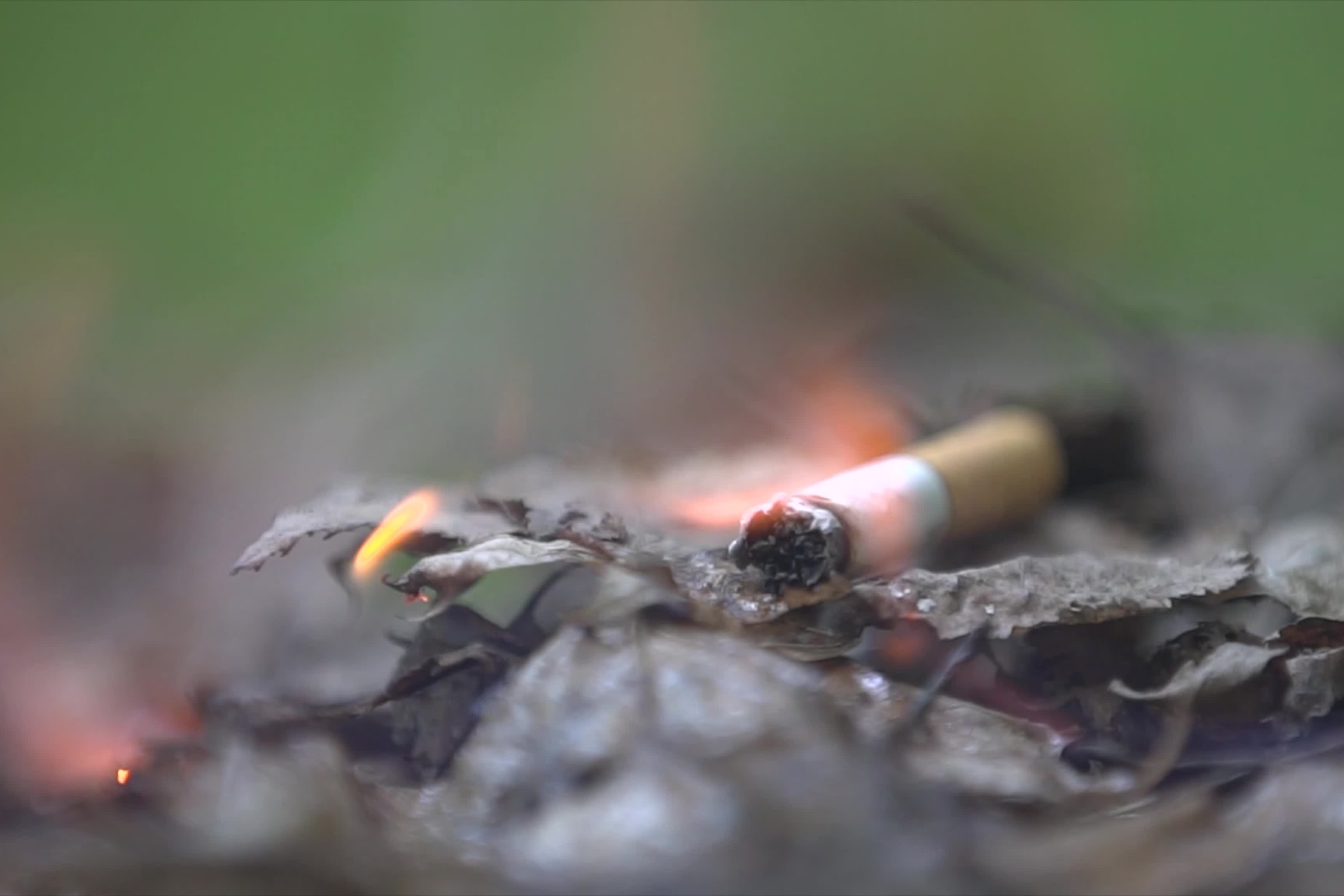 2024 09 26 08 28 50 2024 08 01 09 28 39 05d0ALi4I5M