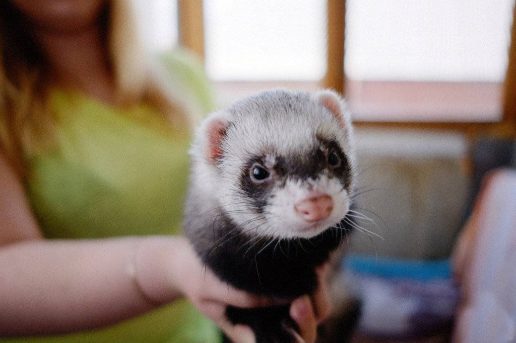 5be2e577c874beb64f1d721090e22a10