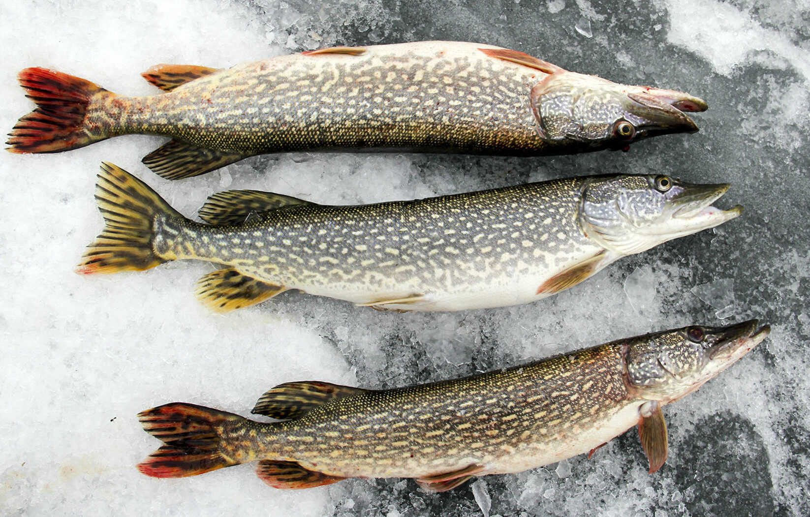 8240936 0 88 2000 1345 1920x0 80 0 0 f99bed9eb83665f925e546c1fa502f091 e1640243315960