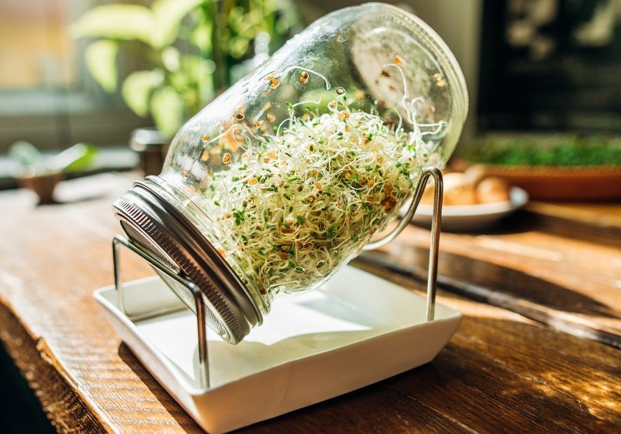 bigpicture ru 167332 1659006182 1