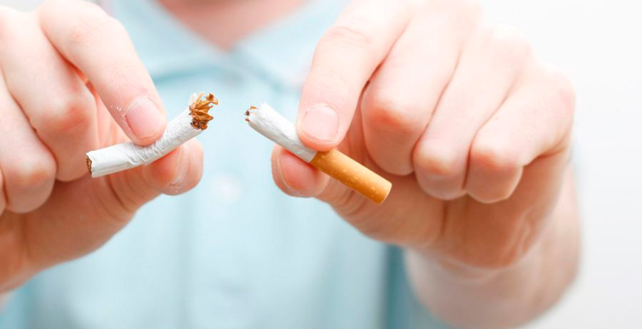 e2f011488740210e6af6d316bb822f98 XL