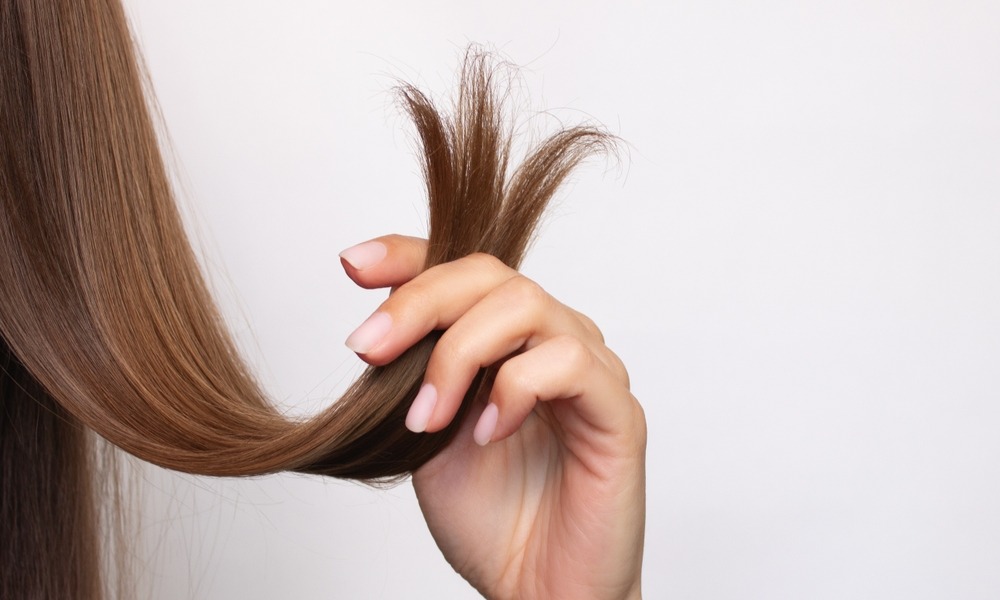 ek8wh3x87oh12ycexok8zo3djz8xkfhr