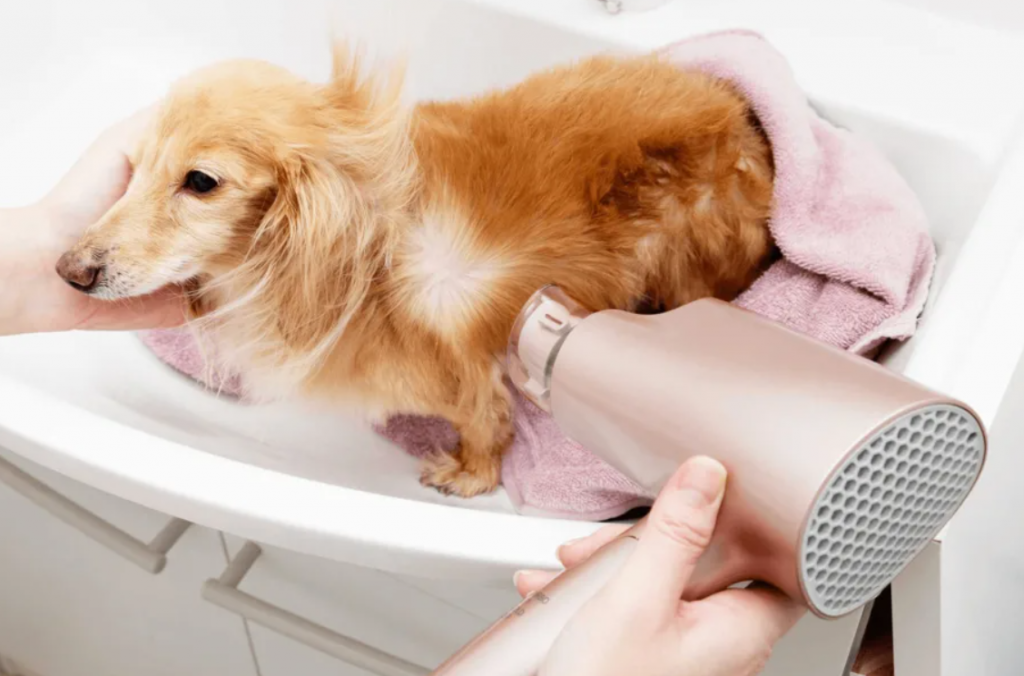 ifwcoonz2crgfizpqfmcbfil8wjmlv5l