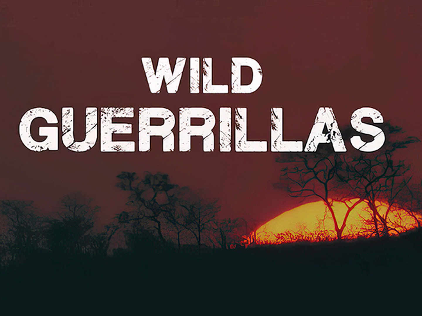 Мастера Выживания