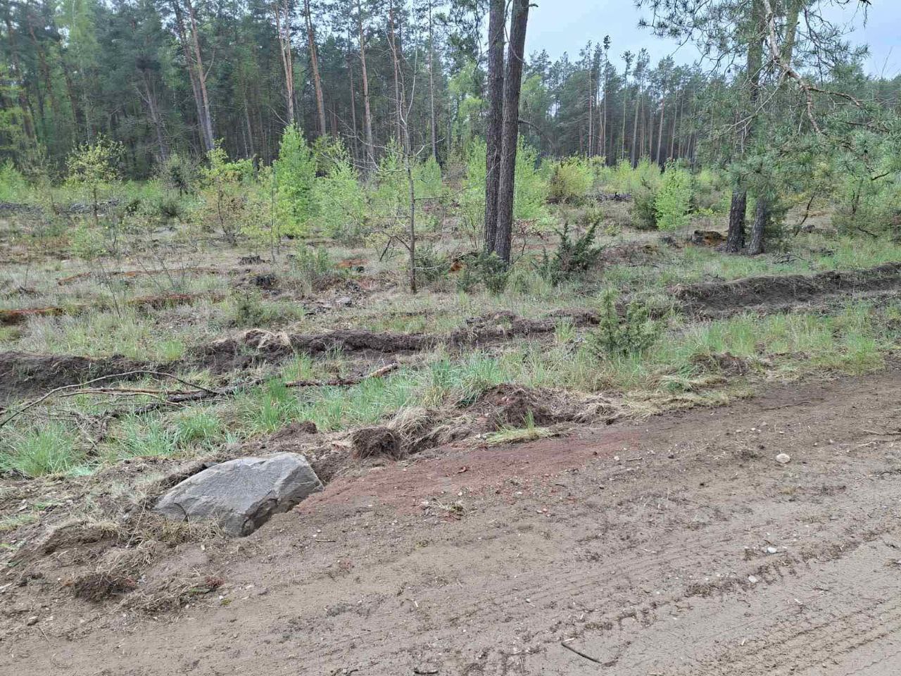 photo 2025 05 21 08 34 55