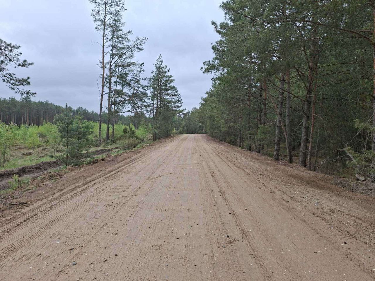 photo 2025 05 21 08 34 55 3