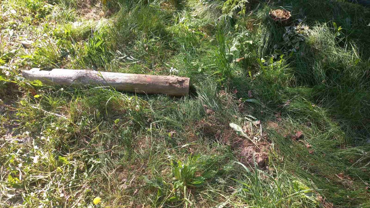 photo 2025 05 21 08 38 32