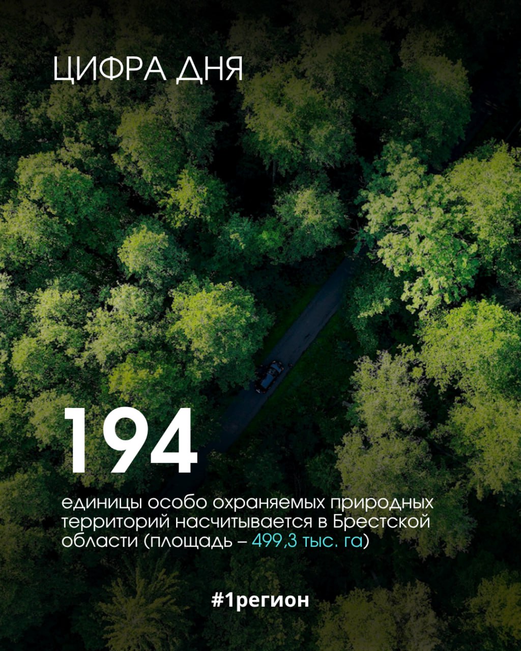 photo 2025 06 06 15 39 15