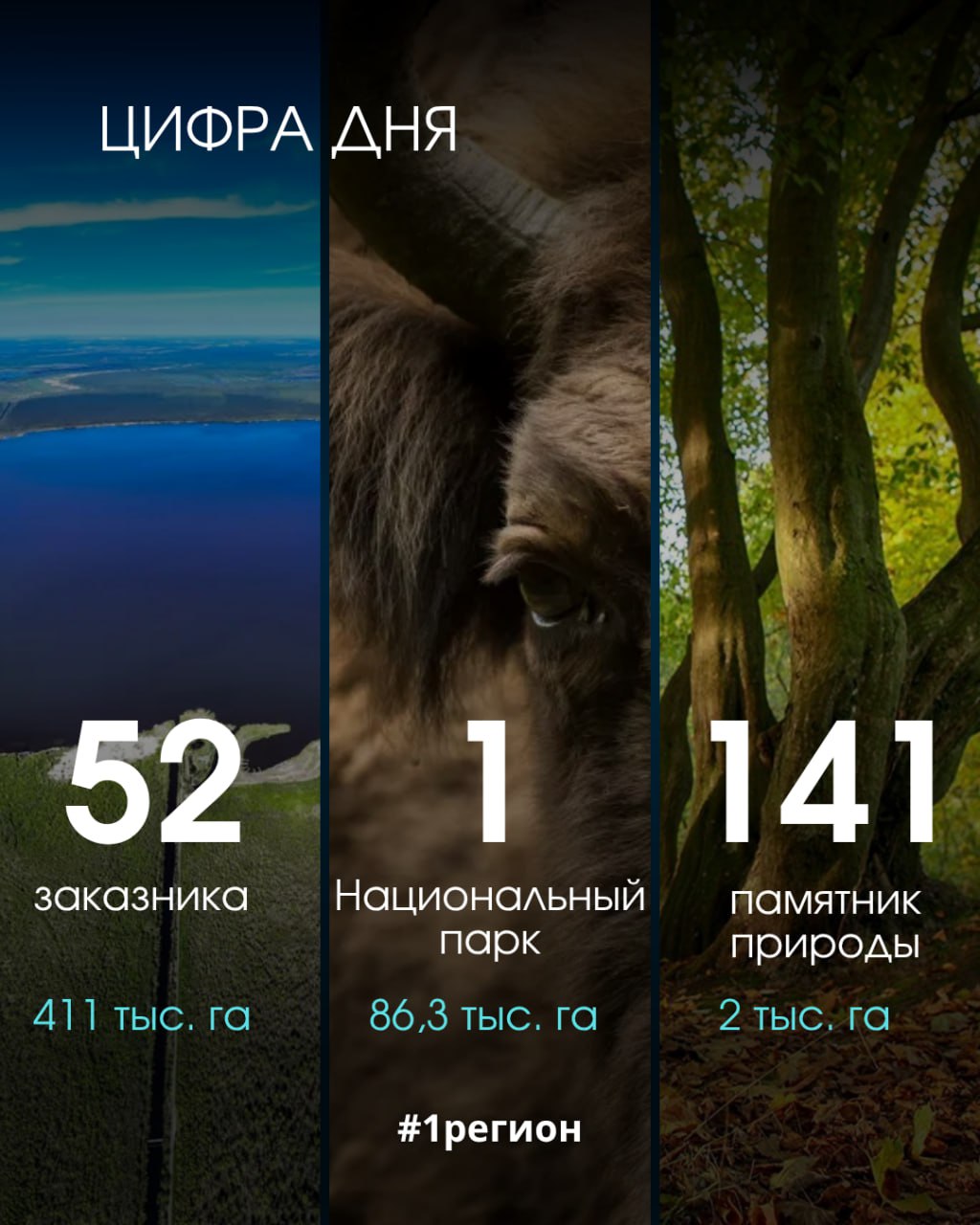 photo 2025 06 06 15 39 15 2