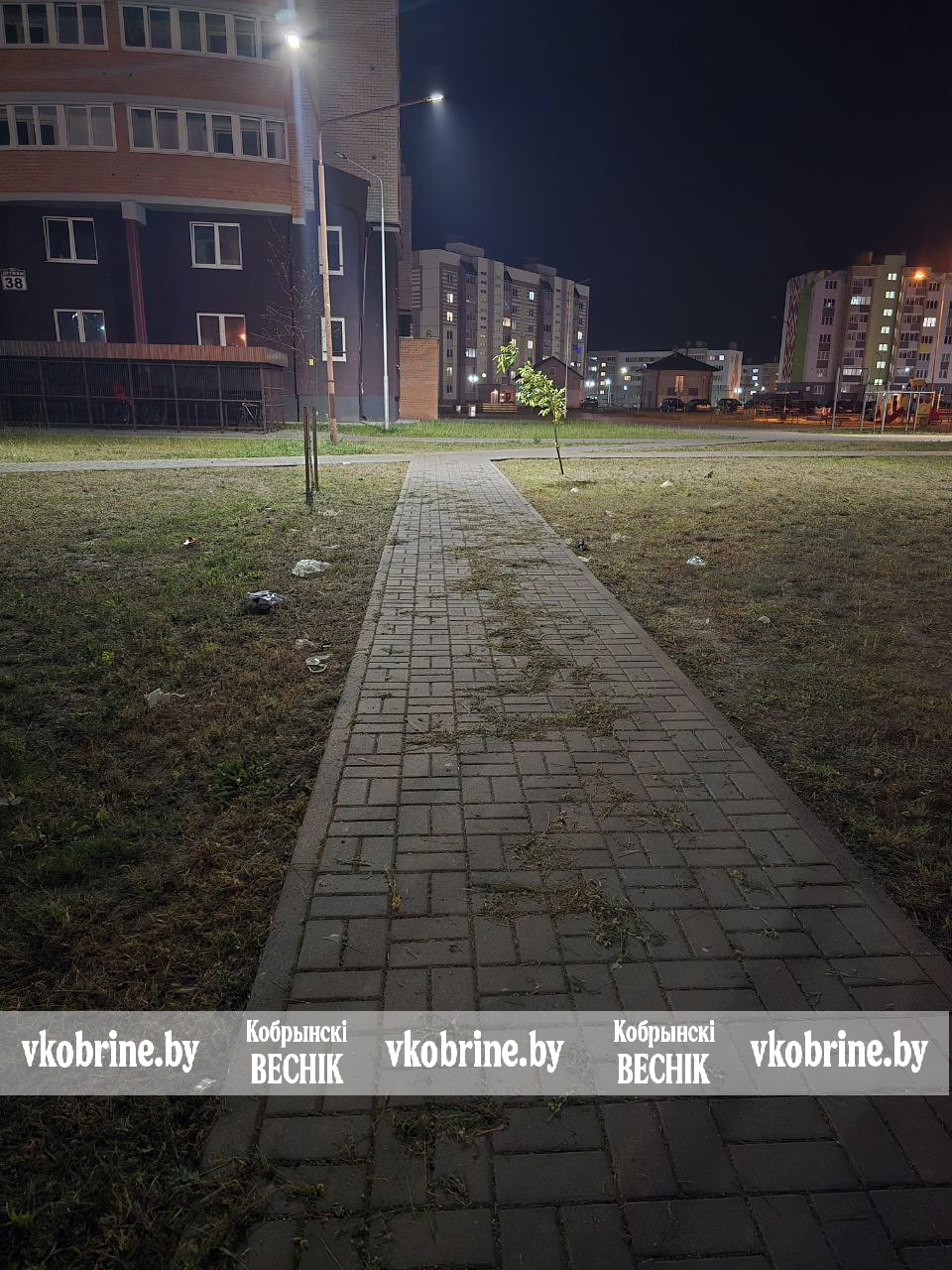 photo 2025 08 21 08 41 57 2