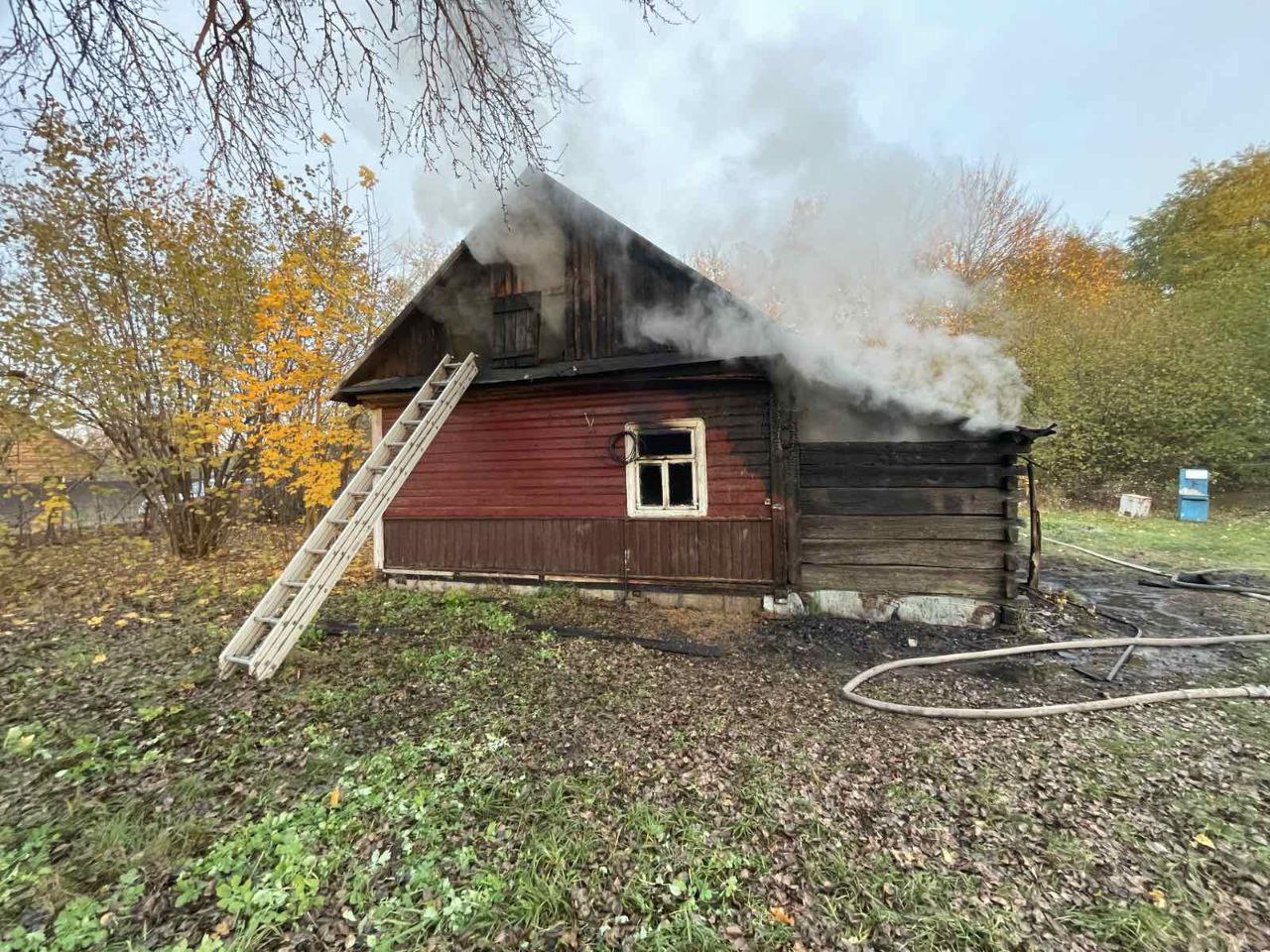 photo 2025 10 28 11 14 26 3