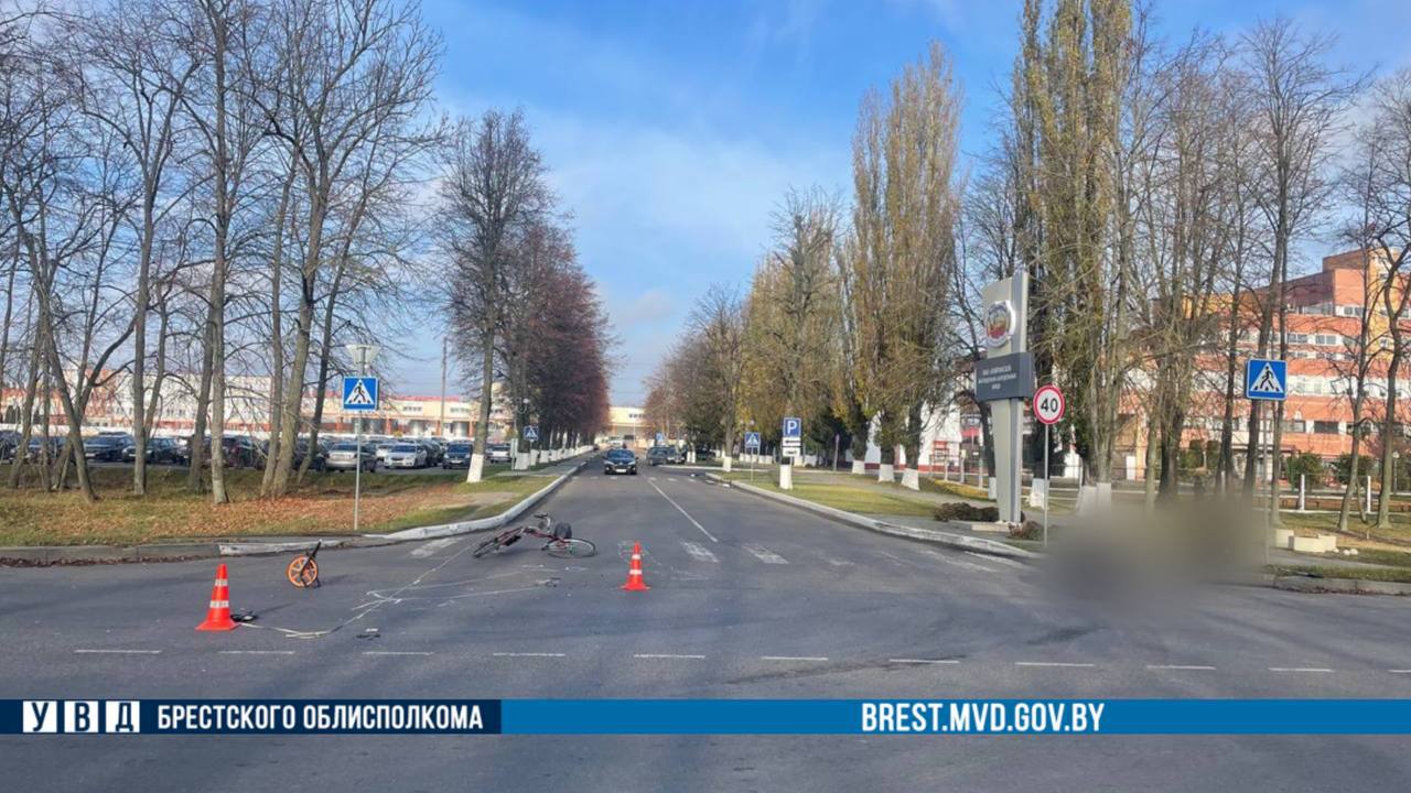 photo 2025 11 13 13 05 29