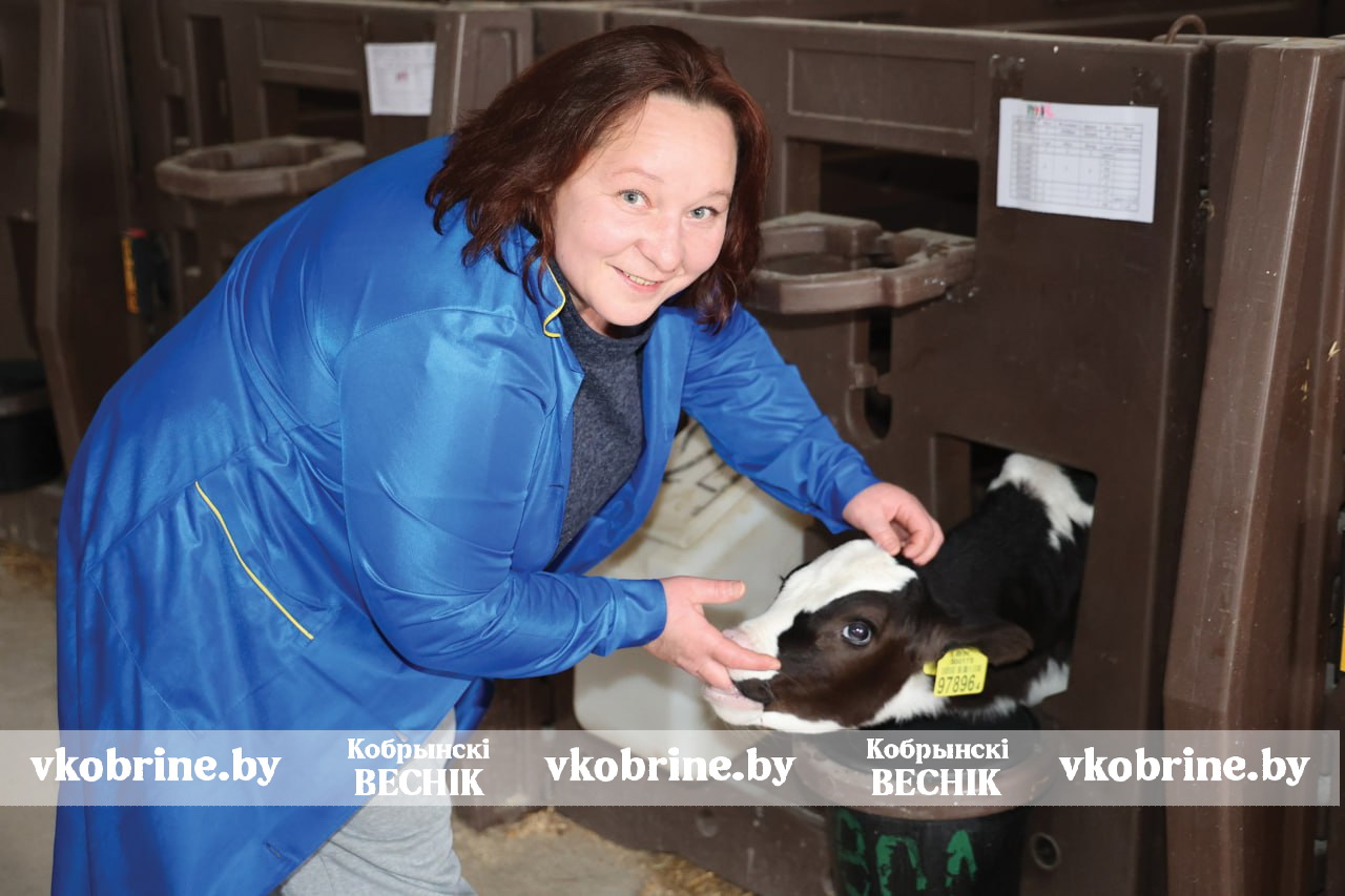 photo 2025 11 13 14 04 27 3