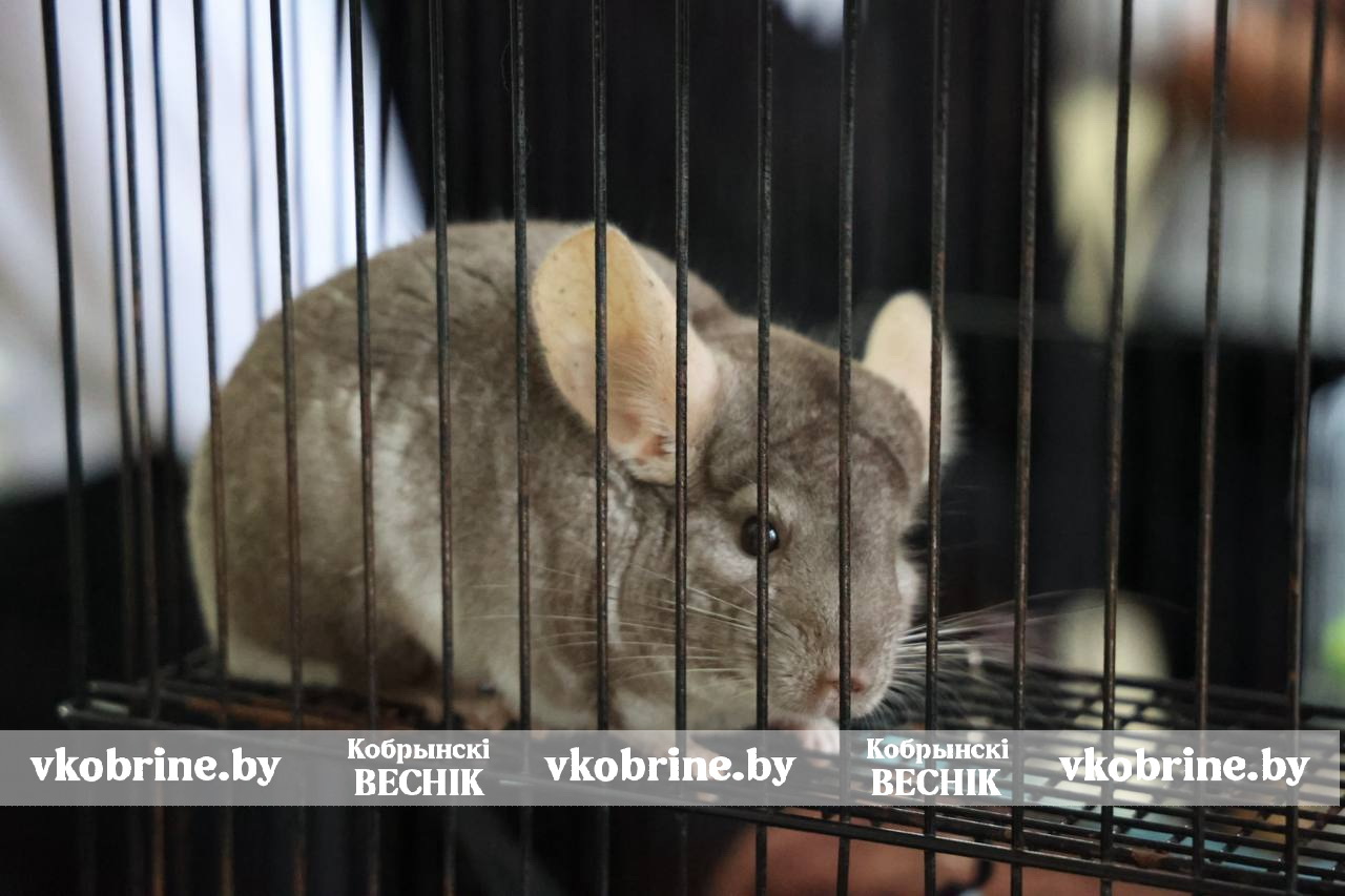 photo 2025 11 26 16 29 39 2