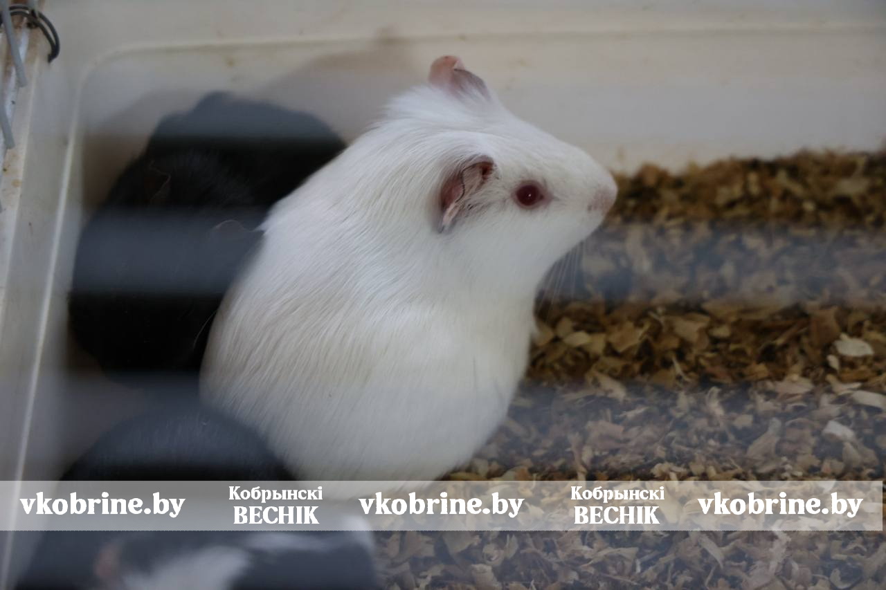 photo 2025 11 26 16 29 40 2