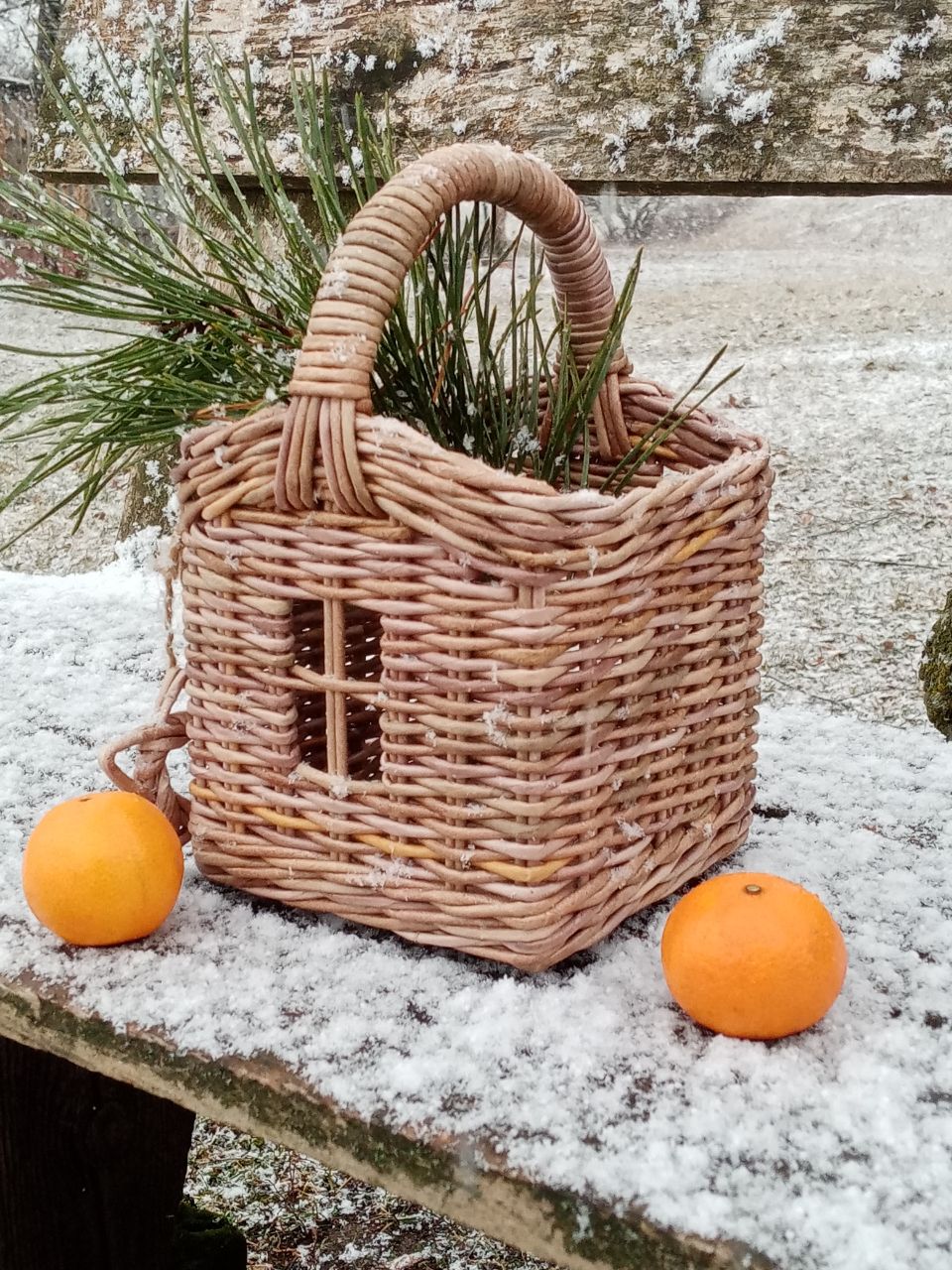 photo 2025 12 01 08 20 32