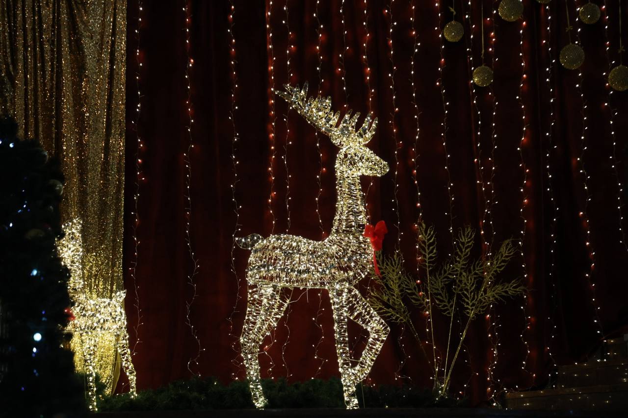 photo 2025 12 19 12 35 22