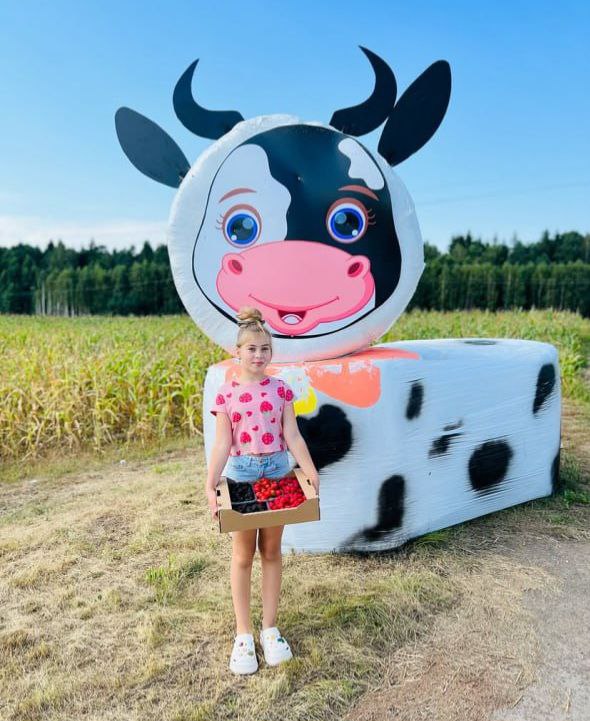 photo 2025 12 24 15 02 40