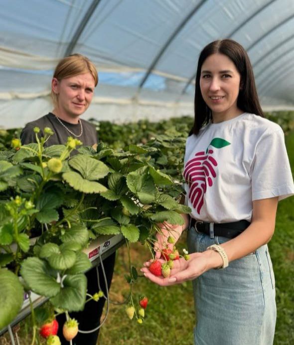 photo 2025 12 24 15 02 41