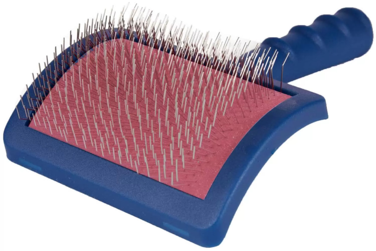 photo 2025 12 29 16 33 32