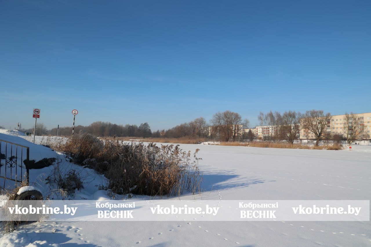 photo 2026 01 19 12 52 17 2