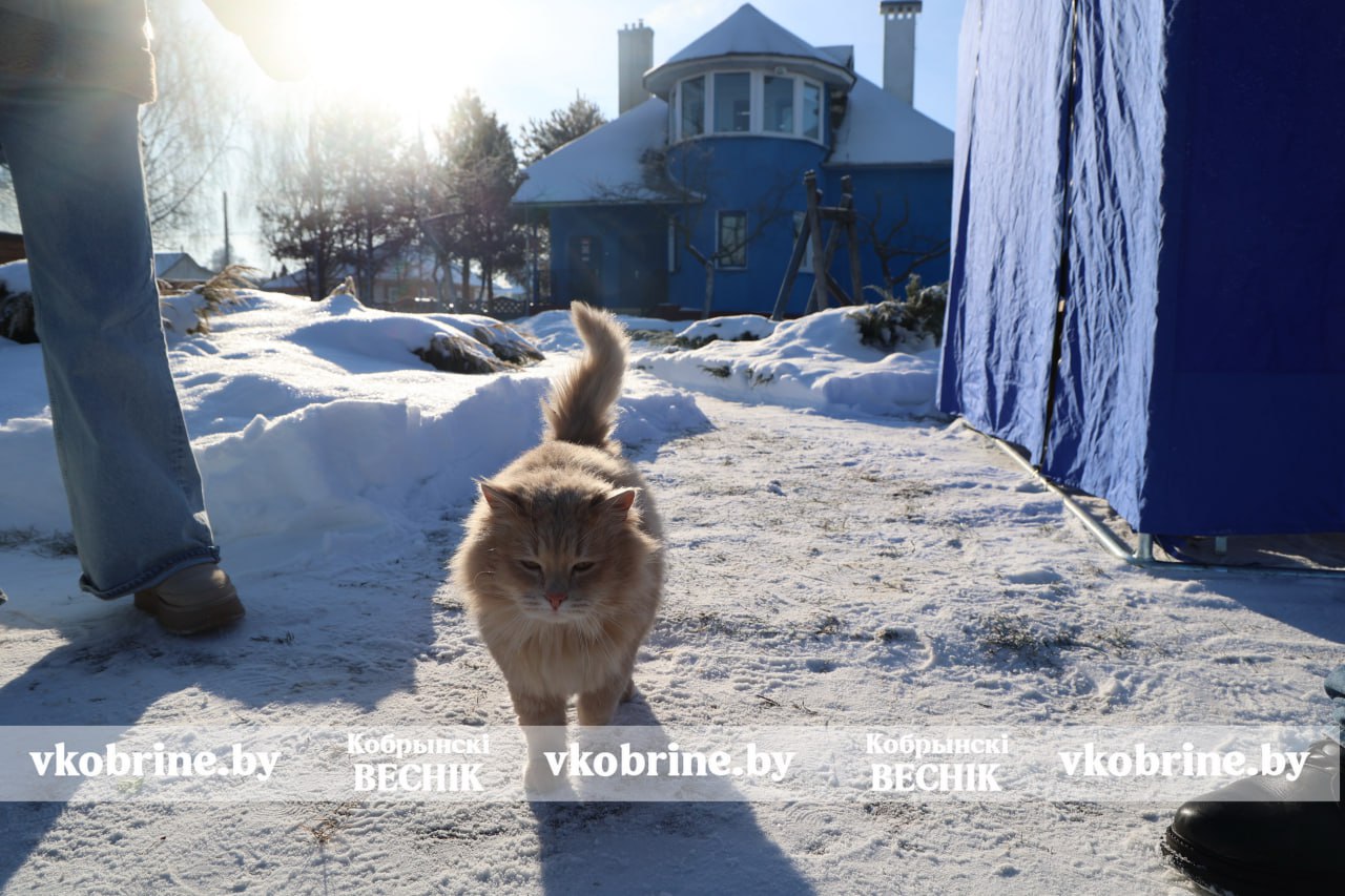 photo 2026 01 19 12 52 17 3