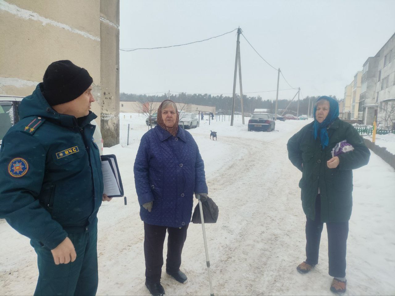 photo 2026 01 24 16 12 19 6