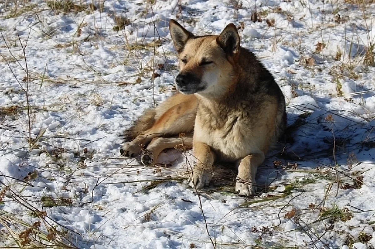 photo 2026 02 02 09 22 24