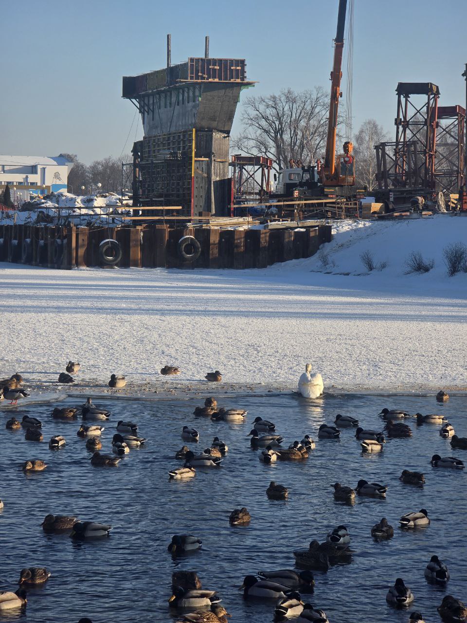 photo 2026 02 04 08 58 38