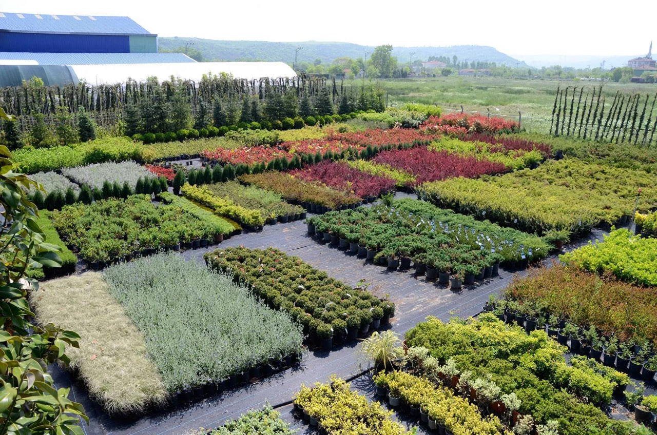 photo 2026 02 27 08 46 26