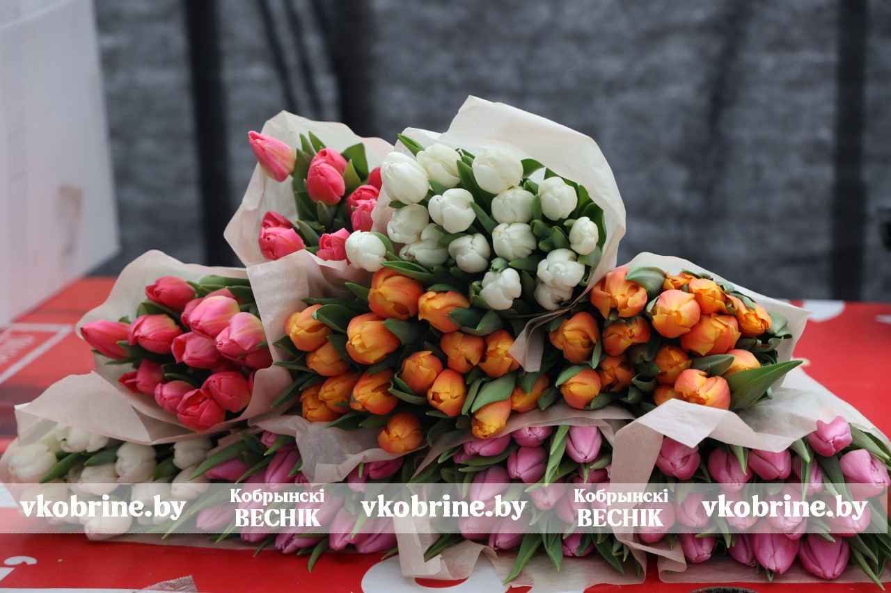 photo 2026 03 03 08 48 51 6 2