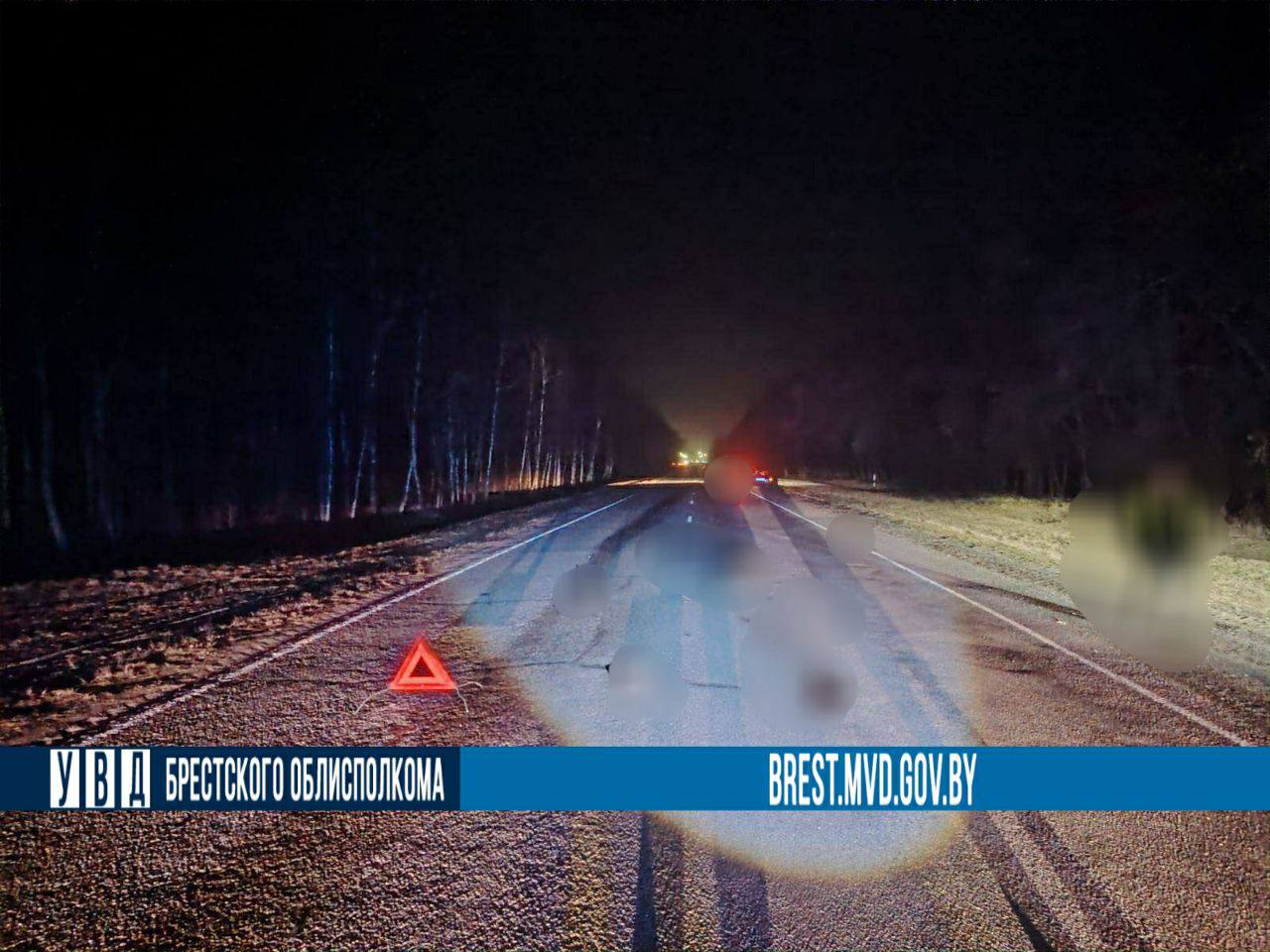 photo 2026 03 12 21 26 16