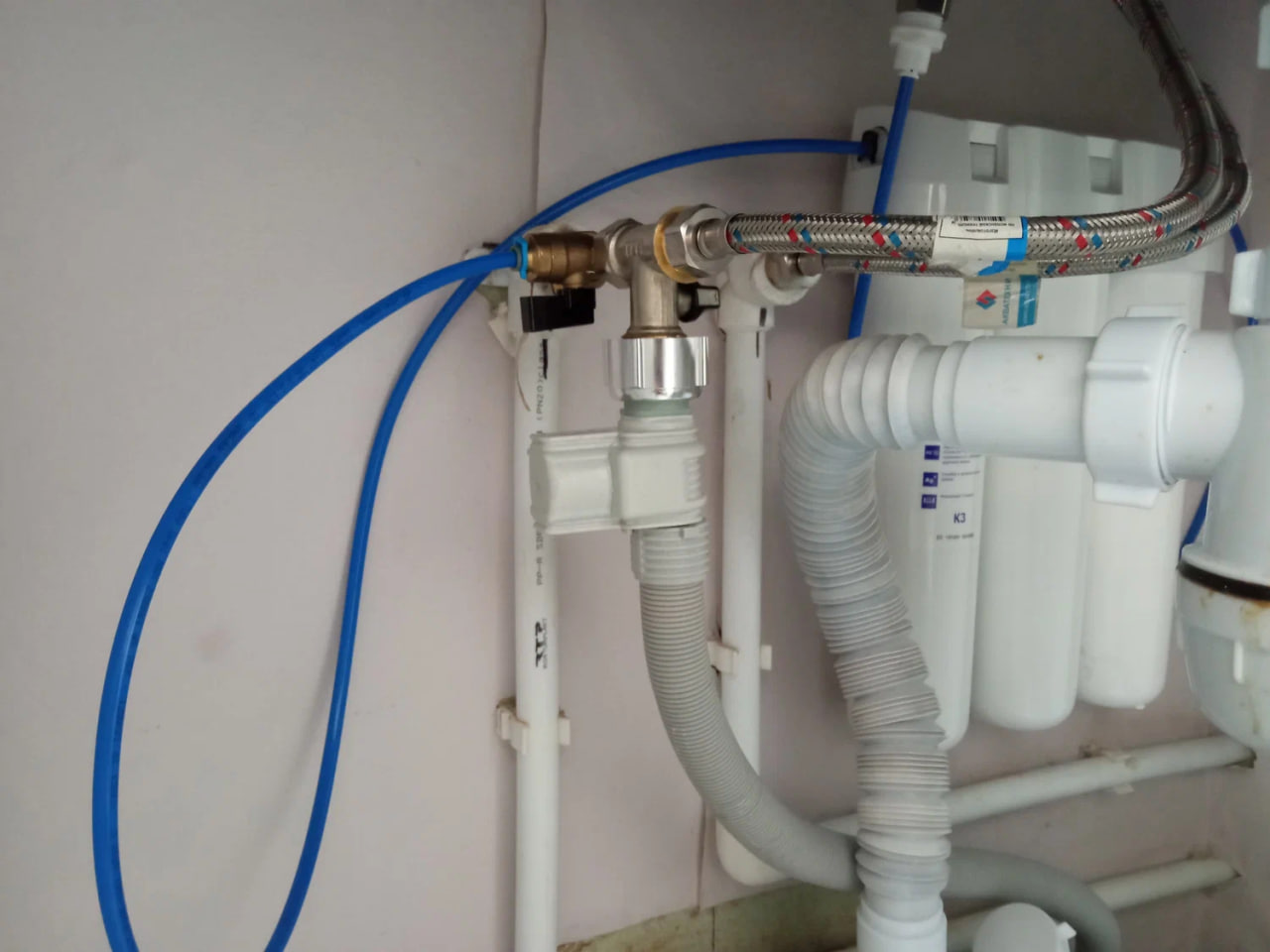 photo 2026 04 15 10 48 29