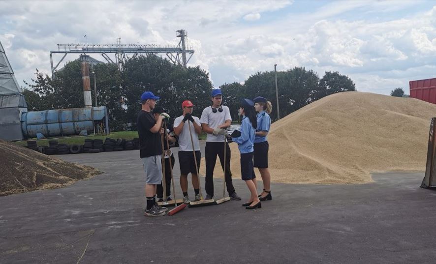 studotryady proverka