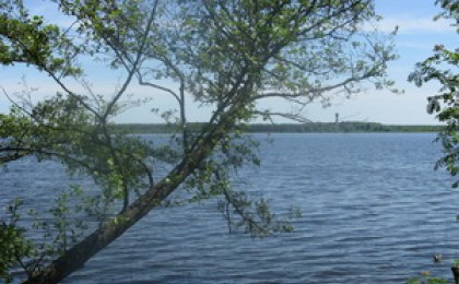 Озеро Любань отдано в аренду на 10 лет