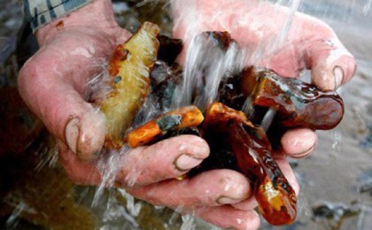 Незаконная добыча янтаря на Брестчине