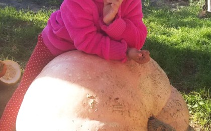 Кобринчанка Тамара Борисюк вырастила у себя на участке «тыкву-великаншу» - 84 см высотой и 190 см в обхвате