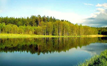 В инспекциях охраны животного и растительного мира Брестской области подведены итоги работы за 2016 год