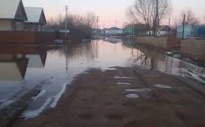 Кобринская «Венеция»