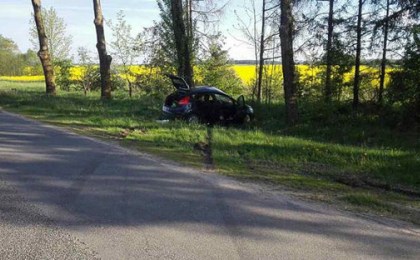 Легковушка врезалась в дерево в Каменецком районе: пострадала 26-летняя кобринчанка