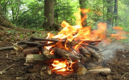 За разведение костра в лесу могут оштрафовать на 575 рублей
