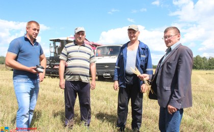 Кобрыншчына распачала жніво