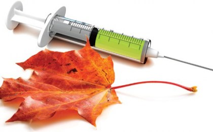 Вакцинация против гриппа – это эффективно!