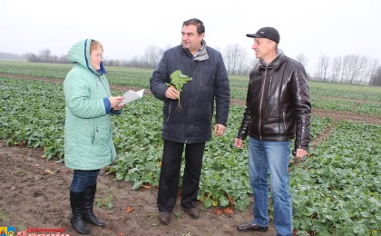У тандэме працы і навукі