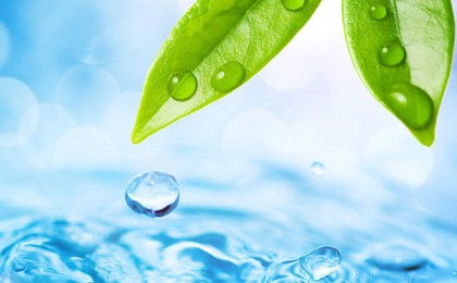 Прошла акция «Чистый водоем»