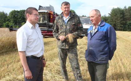 На Кобрыншчыне пачынаецца жніво